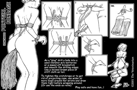 Rule 34 Anal Tail Bondage Buttplug Crotch Rope Diagram How To