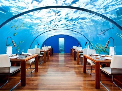 5 Underwater Restaurants In Maldives You Cant Afford To Miss