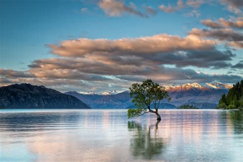 Nature Landscape Trees Lake Wanaka New Zealand Lake