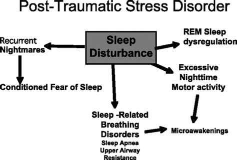 Ptsd Causes Sleep Apnea Detroitlionsblogs