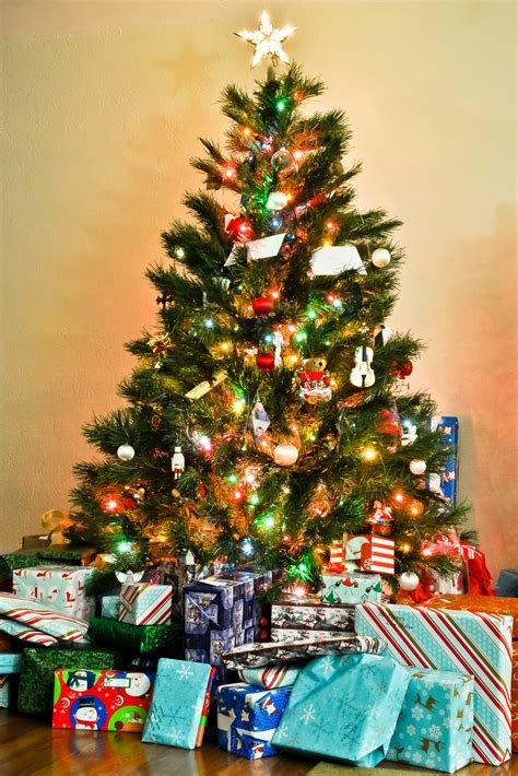 Free Stock Photo Of Christmas Christmas Tree Ts