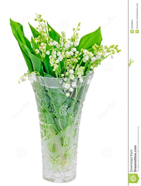 Für wirklich jeden anlass der richtige strauß: Maiglöckchen, Maiglöckchen, Convallaria Majalis Blumenstrauß Blüht In Einem Transparenten Vase ...