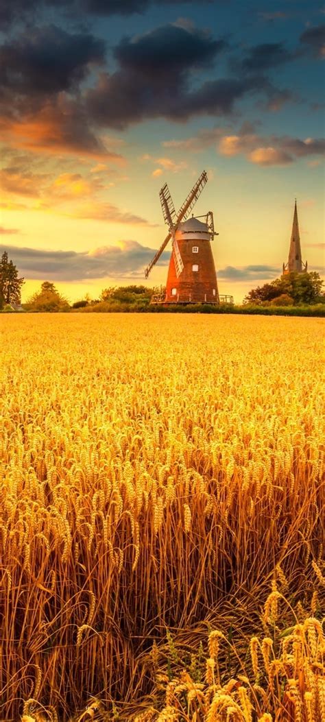 1080x2400 Windmill On Wheat Field At Sunset 1080x2400 Resolution
