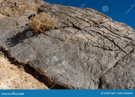 Graffiti En Petroglyphs Op Steen In Titus Canyon Stock Foto Image Of