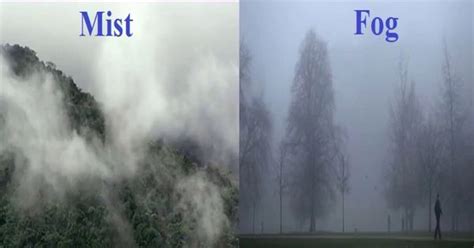 Difference Between Fog And Mist Assignment Point