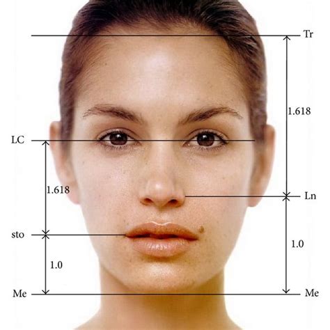 Lengths Of The Face And Set Of Ideal Proportions Download Scientific Diagram