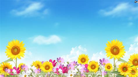 Beautiful Summer Flowers Wallpaper Hd Wallpapers Desktop Wallpaper
