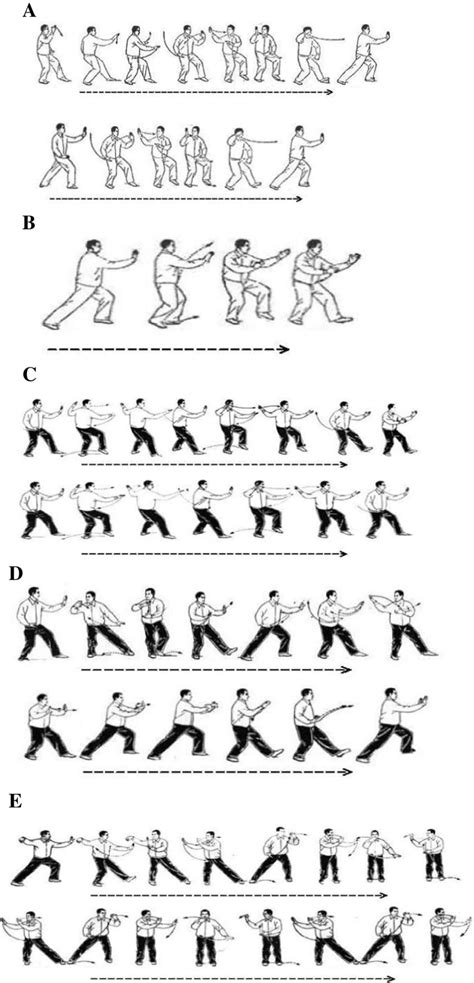 Illustration Of Five Tai Chi Movements A Brush Knee And Twist Steps