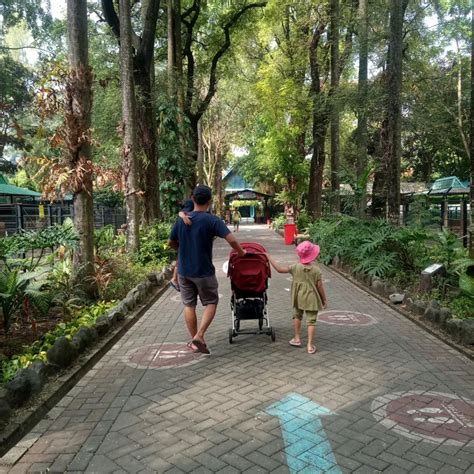 Surabaya Zoo Jenis Hewan Harga Tiket Masuk Dan Info Lainnya
