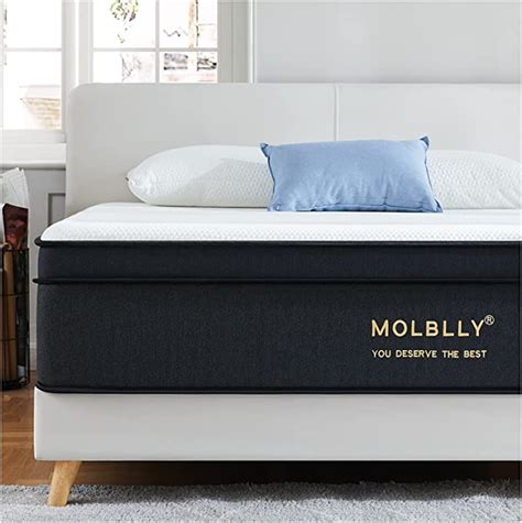 Molblly King Mattress 10 Inch Foam And Hybrid Individually Wrapped Coilerspring Mattress Pocket