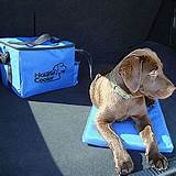Photos of Electric Cooling Beds For Dogs
