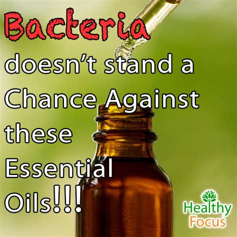 11 Proven Powerful Antibacterial Essential Oils Healthy Focus