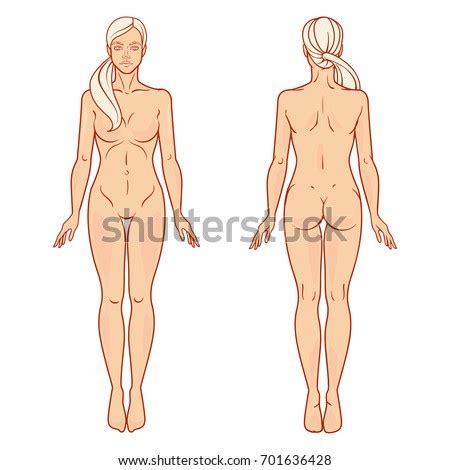 Here's the male human body drawn in front and back views. Female Body Front Back View Template Stock Vector ...