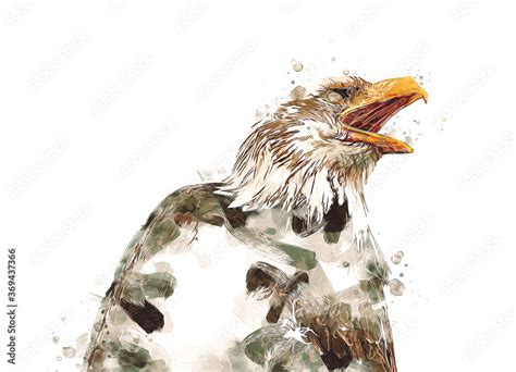 Bald Eagle Swoop Landing Hand Draw And Paint On White Background