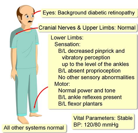 Peripheral Neuropathy B12 Deficiency Interactive Case Study