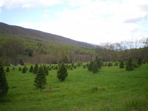 Mellow yellow: Blue Mountain 400k - The best of Pennsylvania