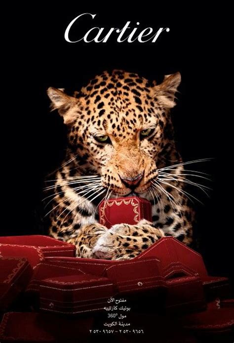 17 Best Images About Cartier On Pinterest Panthers Cartier Jewelry