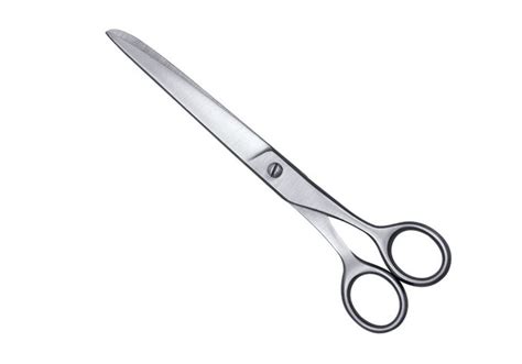 House Hold And Taylor Scissors