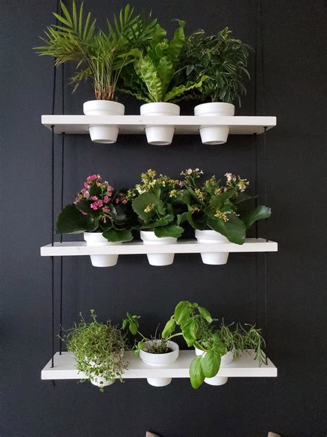 Planter Shelves Indoor Herb Garden Hanging Herb Garden Shelves Bay