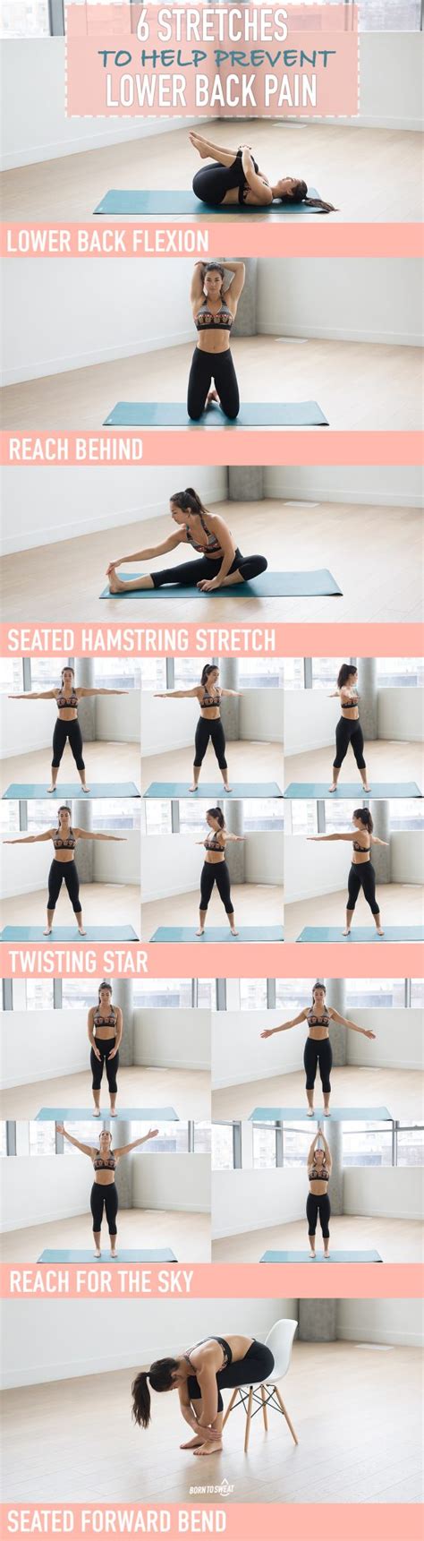 7 Stretches to Prevent Lower Back Pain - Born to Sweat
