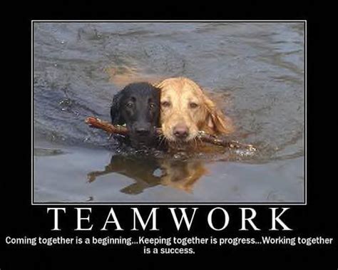 Pin By Stacie Rutkowski On ♥ Dogs ♥ Work Quotes Funny Teamwork