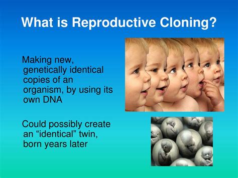 cloning humans