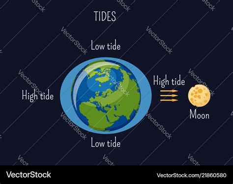 Low And High Lunar Tides Diagram Effect Of Moon Vector Image