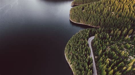 Download Wallpaper 2560x1440 Lake Shore Aerial View Forest Hills