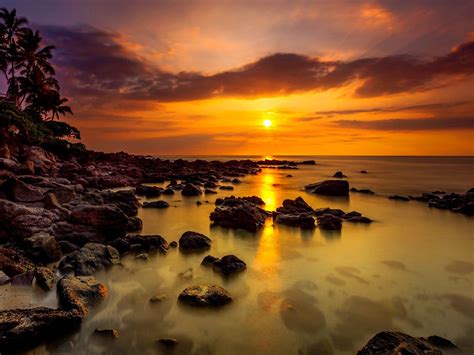 Sunset Tropical Sea Coast Palm Rocks Stones Sky With Yellow Red Glow ...