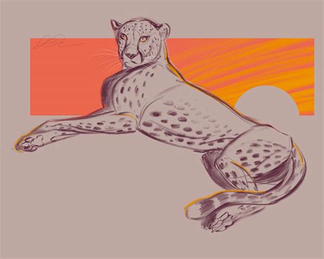 Big Cats Sketch Pages On Behance