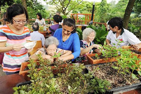 Horticultural Therapy And Healing Goan Observer