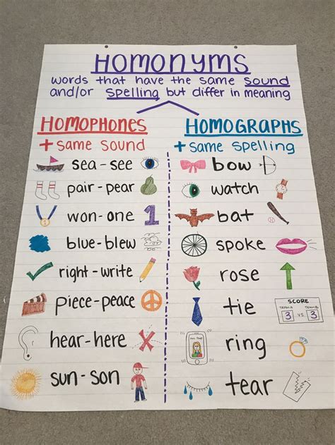 Homonyms Homophones Homographs Elementary Learning Classroom Anchor Charts Homeschool Learning