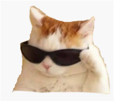 Sunglasses Cat Meme Png