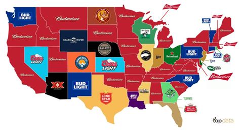 The Most Popular Beer Brands In Every State Mapped Vivid Maps