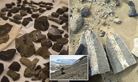 Huge Trove Of Dinosaur Fossils Found In Antarctica Daily Mail Online