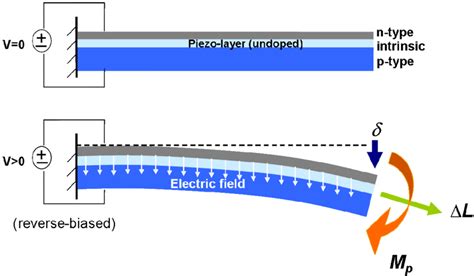 Schematic Of The Cantilever Beam Under The Piezoelectric Effect When