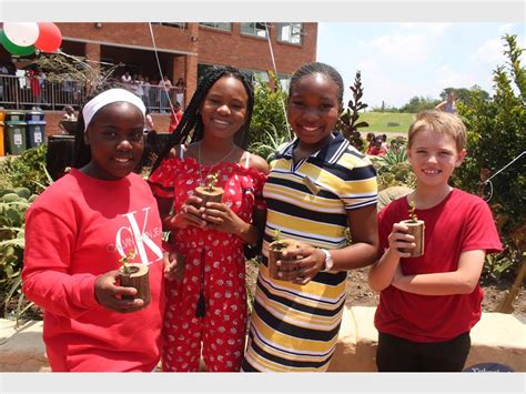 Special Spekboom Introduced At Curro Halfway House Midrand Reporter