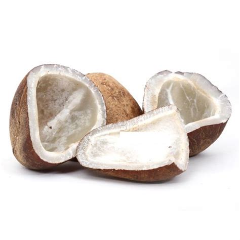 Dry Coconut Khopra Copra