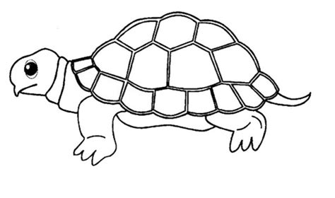 20 koleksi sketsa gambar hewan terbaru 2019 gambar pedia sketsa gambar hewan cara menggambar kelinci dengan mudah untuk anda yang menyukai gambar kelinci disini kami akan menyajikan bagaimana langkah kumpulan gambar hewan untuk anak anak tk paud belajar. Mewarnai Gambar Binatang, Hewan dan Tumbuhan Untuk Anak TK ...
