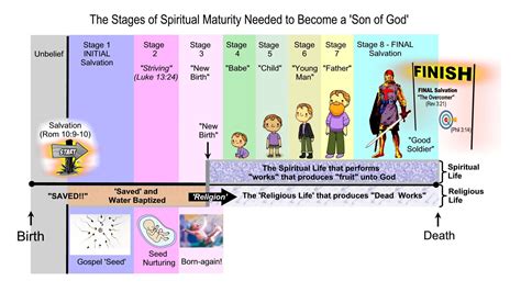 The Eight Stages Of Biblical Salvation