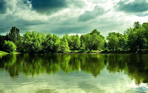 Green Background Hd Scenery All Of These Green Background Images And