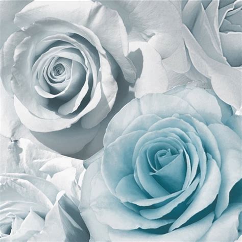 Red, bokeh, rose, heart, valentine, card. Muriva Rose Madison Wallpaper Blue (119503) - Wallpaper ...