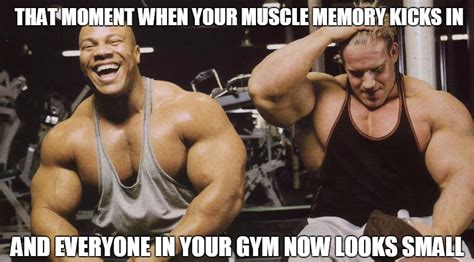 Will Muscle Memory Help You Regain Lost Muscle