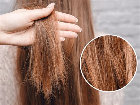 Why Hair Cuticle Damage Sucks And How To Make It Stop Layla Hair