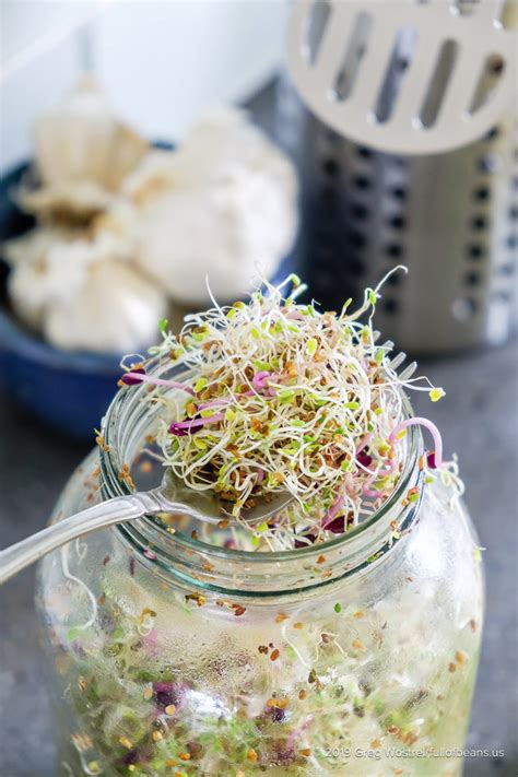 The entire wf experience began to make me queasy. How To Grow Sprouts | Recipe | Growing sprouts, Eating ...