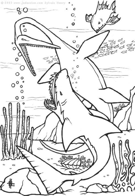 Sharks coloring pages for kids. Shark Coloring Pages For Kids | Shark coloring pages ...