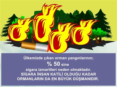 Orman botaniği, ekoloji, meteoroloji, silvikültür, ağaçlandırma, amenajman, fizik, kimya, toprak bilgisi, orman zoolojisi, yaban hayvanları bilgisi, hukuk ve ekonomi'dir. Orman yangınlarını konu alan poster çalışması nasıl yapılır?