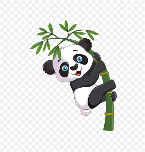 Giant Panda Bear Cartoon Bamboo Png 683x859px Giant