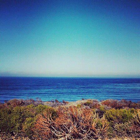 Maybe you would like to learn more about one of these? Jalama Beach (Lompoc) - 2020 All You Need to Know BEFORE ...