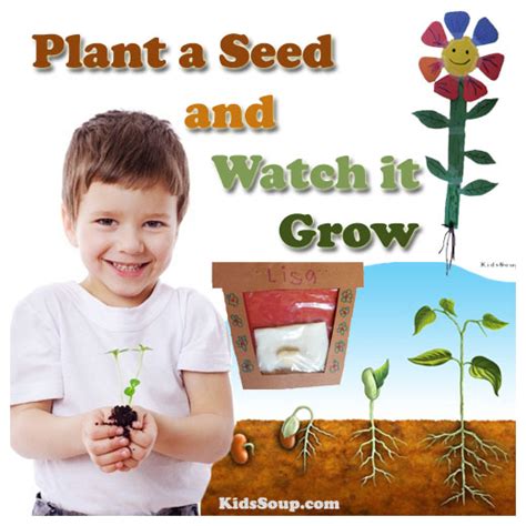 Plant A Seed And Watch It Grow Kidssoup
